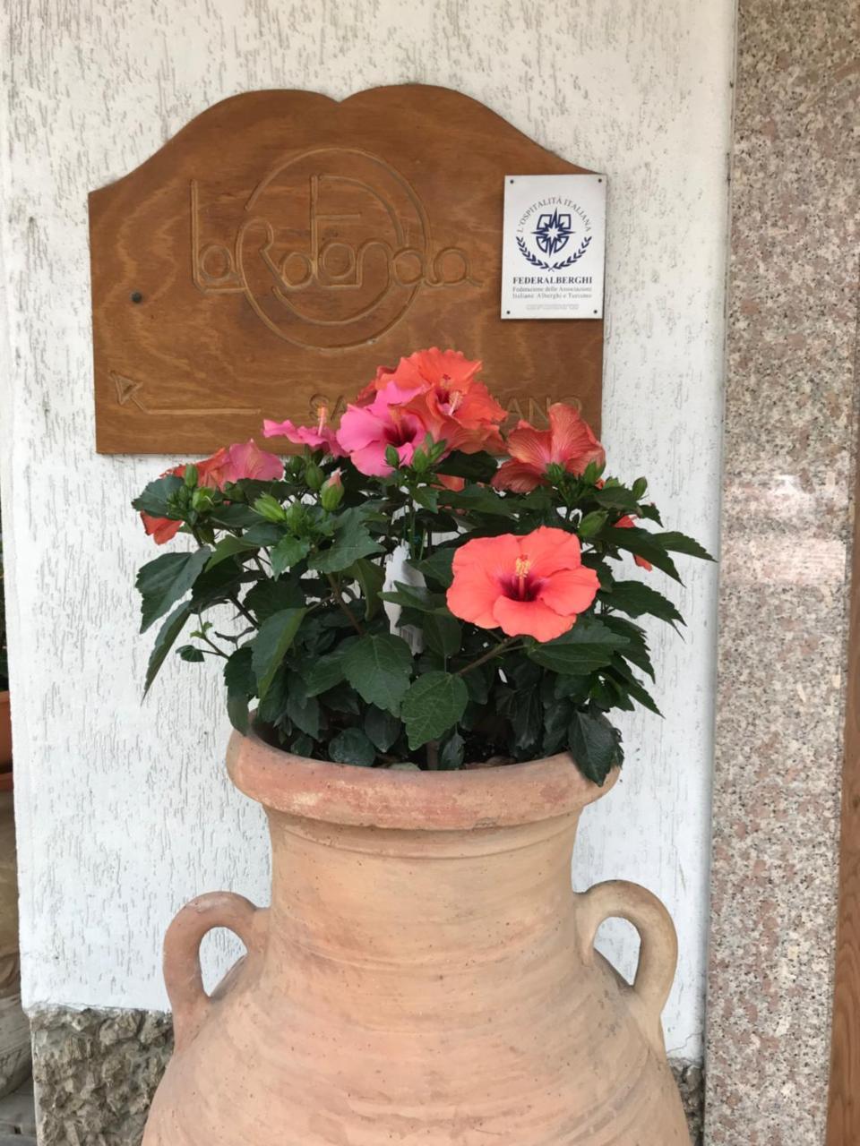 Hotel La Rotonda Cepagatti エクステリア 写真